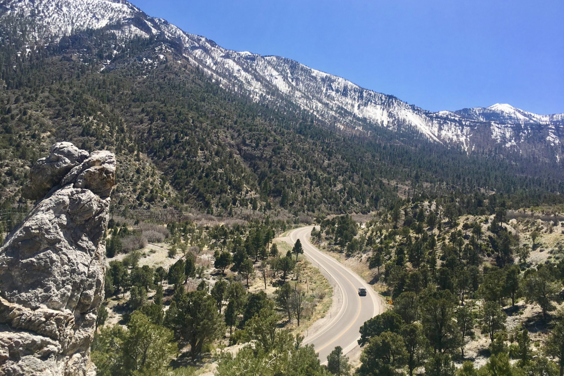 Explore the Beauty of Mount Charleston with GO Mt. Charleston